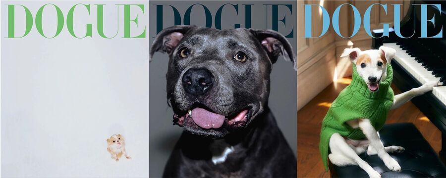 Dogue проект Vogue