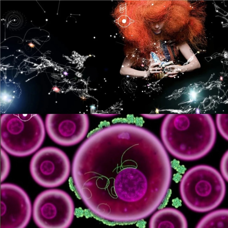 Bjork Biophilia